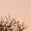 Profile picture of ‌عین زد‌