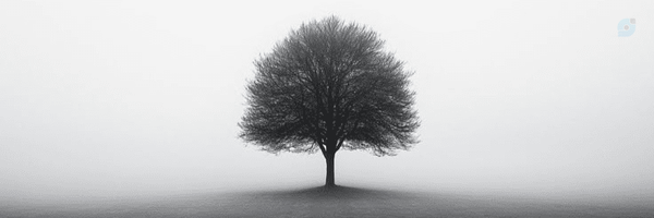 ‌آقا رضا‌'s header picture