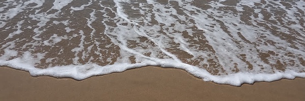 ‌سرباز ولایت‌'s header picture