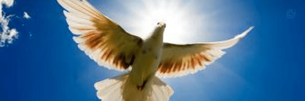 ‌sky‌'s header picture