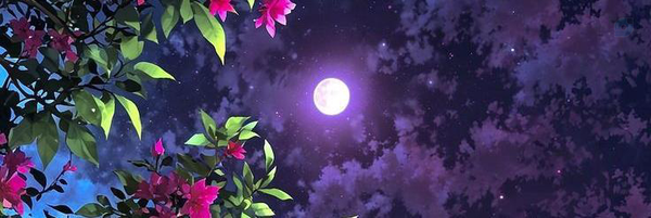 ‌محمد‌'s header picture