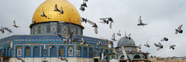 ‌سید‌'s header picture