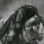 Profile picture of ‌آقا سید‌