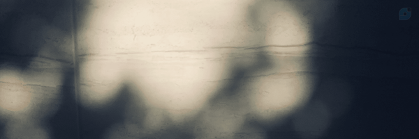 ‌مأوی‌'s header picture