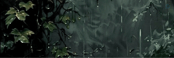 ‌بهــــار‌'s header picture