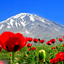 Profile picture of ‌منتظر‌