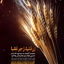 Profile picture of ‌مصطفی‌