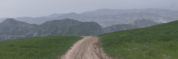 ‌WE‌'s header picture