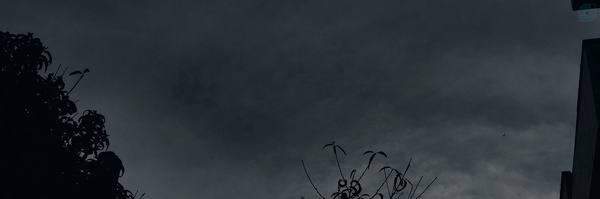 ‌بدون نام‌'s header picture