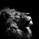 Profile picture of ‌Loneliness‌
