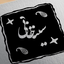 Profile picture of ‌Sina Khani‌