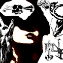 Profile picture of ‌Arvasis‌