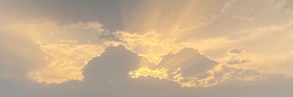 ‌نوذر‌'s header picture