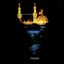 Profile picture of ‌ZEINAB Mohammadi Doust‌