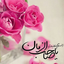 Profile picture of ‌user1748160322194056689 Kn‌