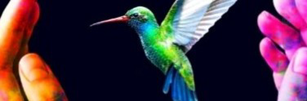 ‌شوآن(18🕊19)الدین‌'s header picture