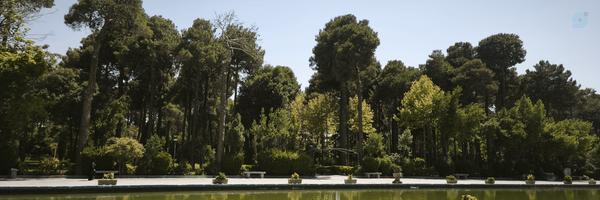 ‌احسان ایلانی‌'s header picture