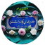 Profile picture of ‌محمدمهدی ملاک‌
