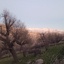 Profile picture of ‌علی موسی زاده‌