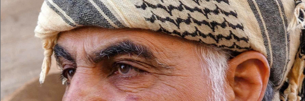 ‌رضا صادقی‌'s header picture