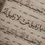 Profile picture of ‌محمدرضا شبانخو‌