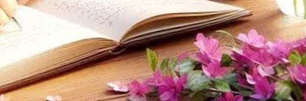 ‌اصیلا‌'s header picture