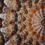 Profile picture of ‌امیرحسین محمدزاده‌