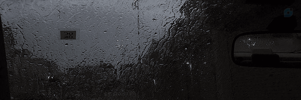 ‌sari‌'s header picture