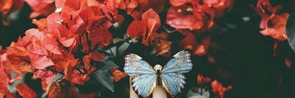 ‌ثنا سعادتی‌'s header picture