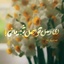 Profile picture of ‌Sadat Modaresi‌