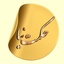 Profile picture of ‌ندا حکمت نیا‌