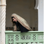 Profile picture of ‌'بوی‌چآی‌هِل'‌
