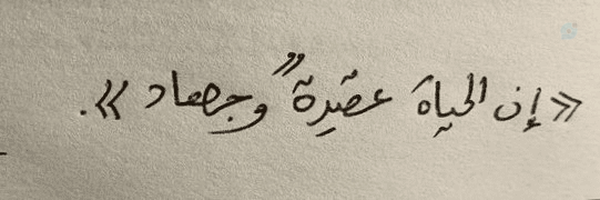‌mhmd mghfr‌'s header picture
