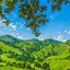 Profile picture of ‌Kosar‌