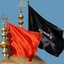 Profile picture of ‌ثارالمبین‌