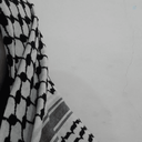Profile picture of ‌ماه ِسادات 🇮🇷‌