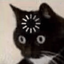 Profile picture of ‌خرگورب‌