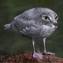 Profile picture of ‌Bean Burgie‌
