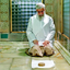 Profile picture of ‌محمد بنای سابق‌