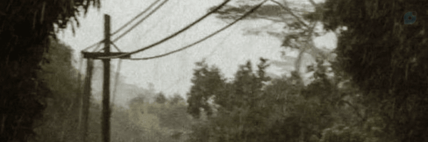 ‌سَبزَکِ تَنها☘️‌'s header picture