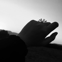 Profile picture of ‌"سـٰـایـه"‌