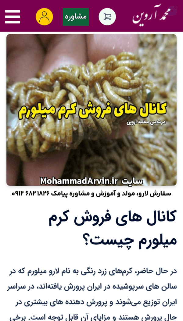 بازار داغ میلورم: مشتریان طلایی شما کجا هستند؟ 💰🐛 مشتریان میلورم شما چه کسانی هستند؟  مزرعه آروین مقاله میلورم