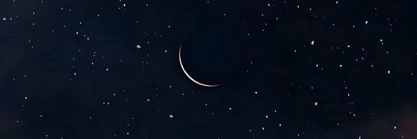 ‌سید محمدرضا(این کاربر فعلا در دسترس نمیباشد) 🇮🇷‌'s header picture