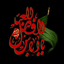 Profile picture of ‌مهدی سسفدی‌