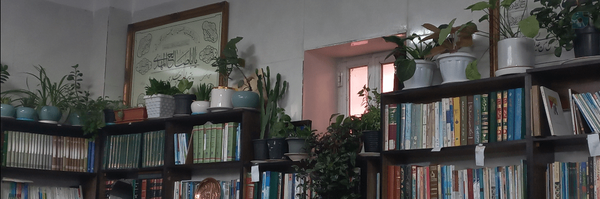 ‌Reyhaneh.‌'s header picture