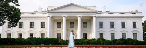 ‌Karoline Leavitt‌'s header picture