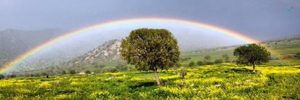 ‌محسن الوندی‌'s header picture