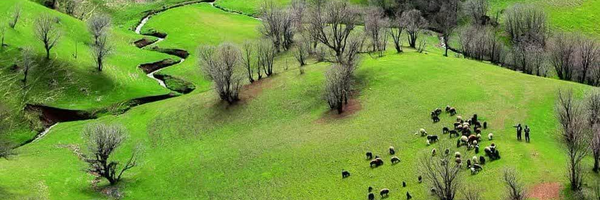 ‌ج سهیلی‌'s header picture
