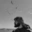 Profile picture of ‌امین کُهنه کار‌