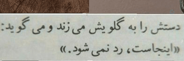 ‌گربه ی خانومِ همسایه‌'s header picture